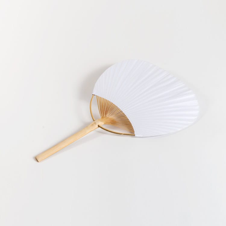 מניפה קיצית | במבוק ונייר