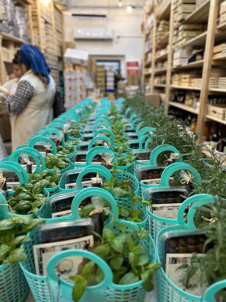 סל מחנה יהודה